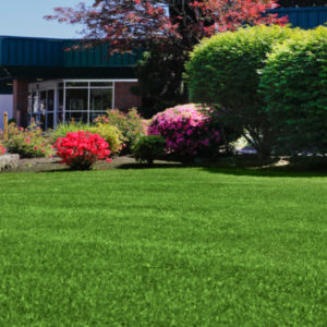 Commercial Landscaping Hillsboro