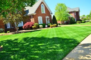 Lawn Aeration Forest Grove